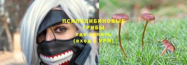а пвп мука Сатка