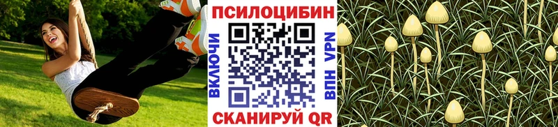 Галлюциногенные грибы мицелий  Советск 