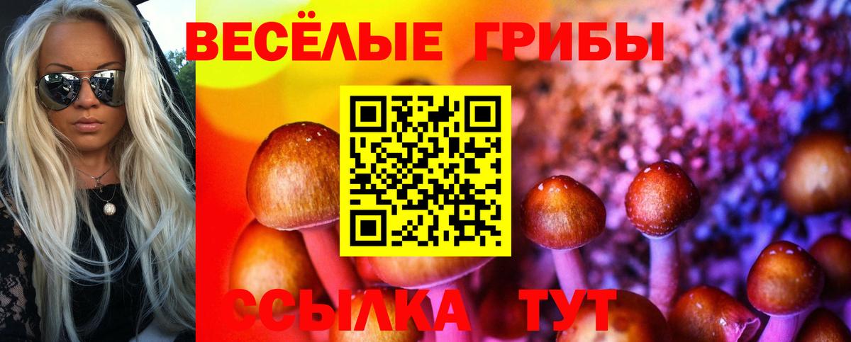 Советск  Псилоцибиновые грибы ЛСД  Псилоцибиновые грибы мицелий  Вход с VPN 